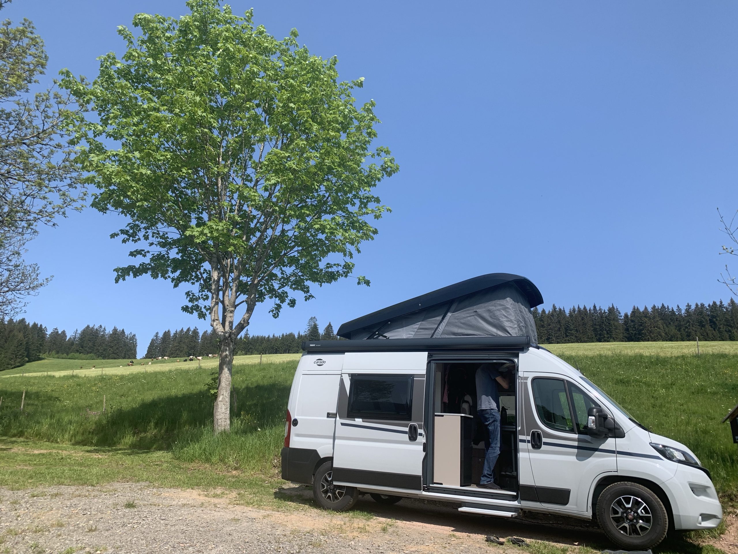 Mehr über den Artikel erfahren Schwarzwald – Unsere erste kurze Reise